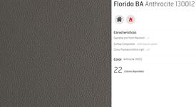 C6 PIEL FLORIDA ANTHRACITE
