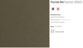 C6 LEATHER FLORIDA FOREST
